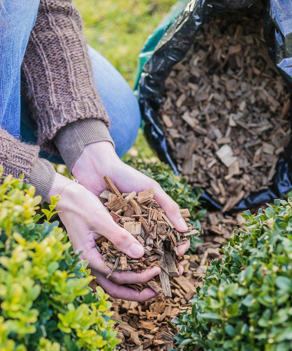 Preparing garden soil for spring: 5 expert tips | Homes & Gardens