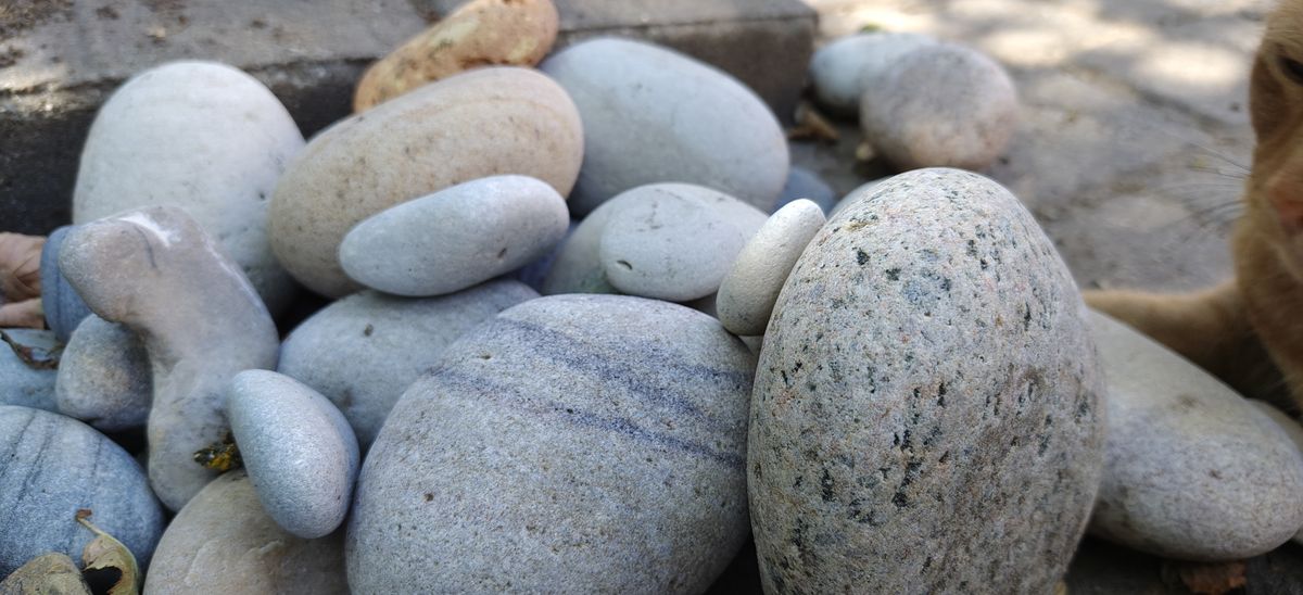realme 16 Pro+ photo sample