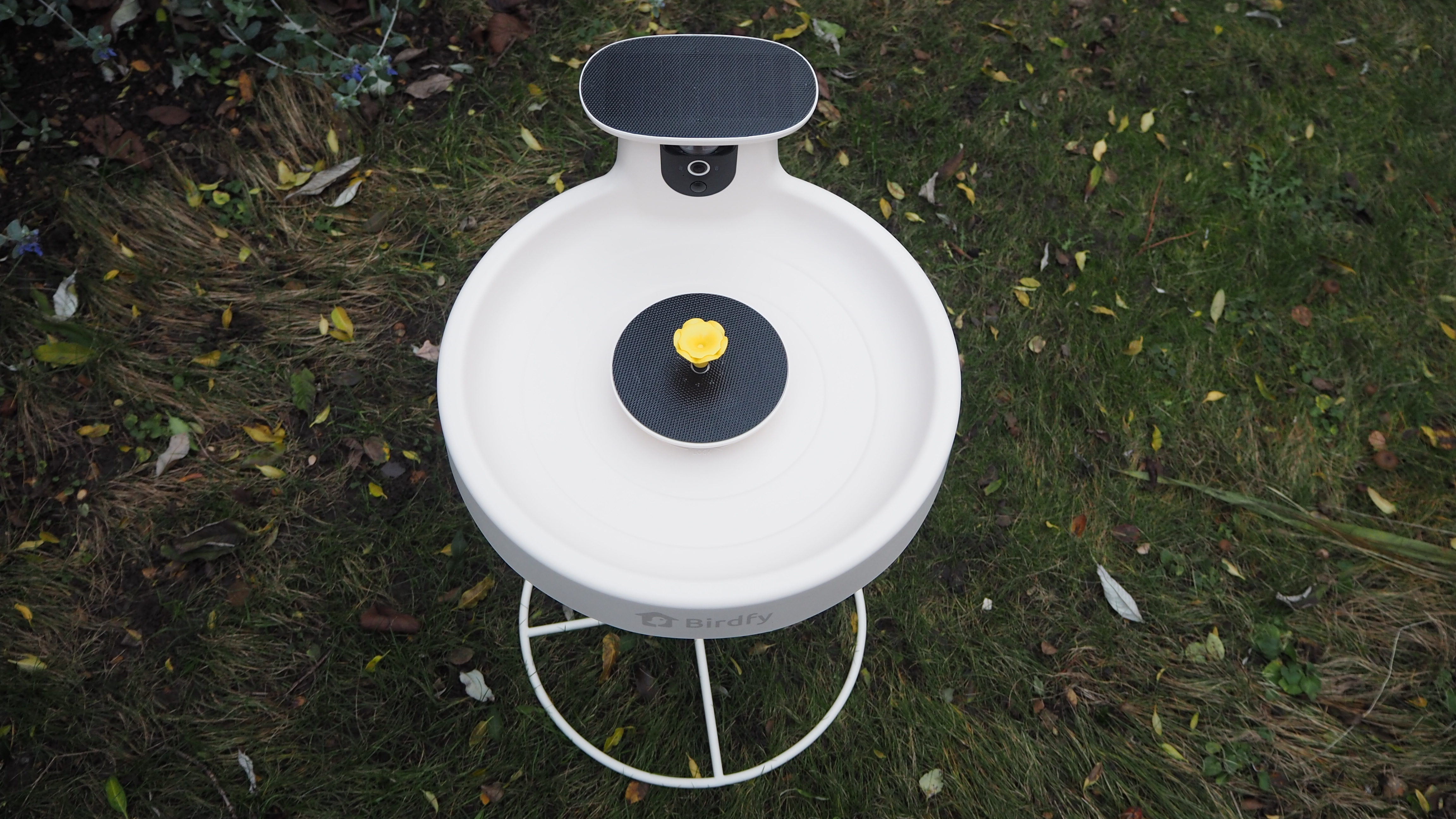 Birdfy Smart Bird Bath Pro with Stand