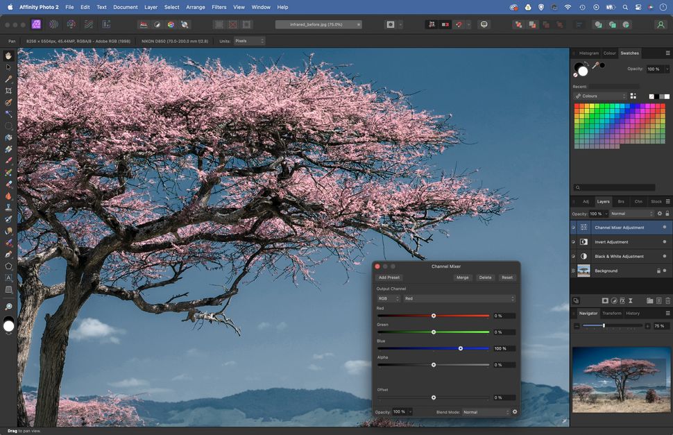 Get the infrared look in Affinity without a costly IR camera conversion