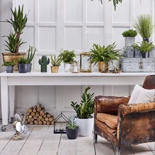 white panel wall brown chair and plants pots
