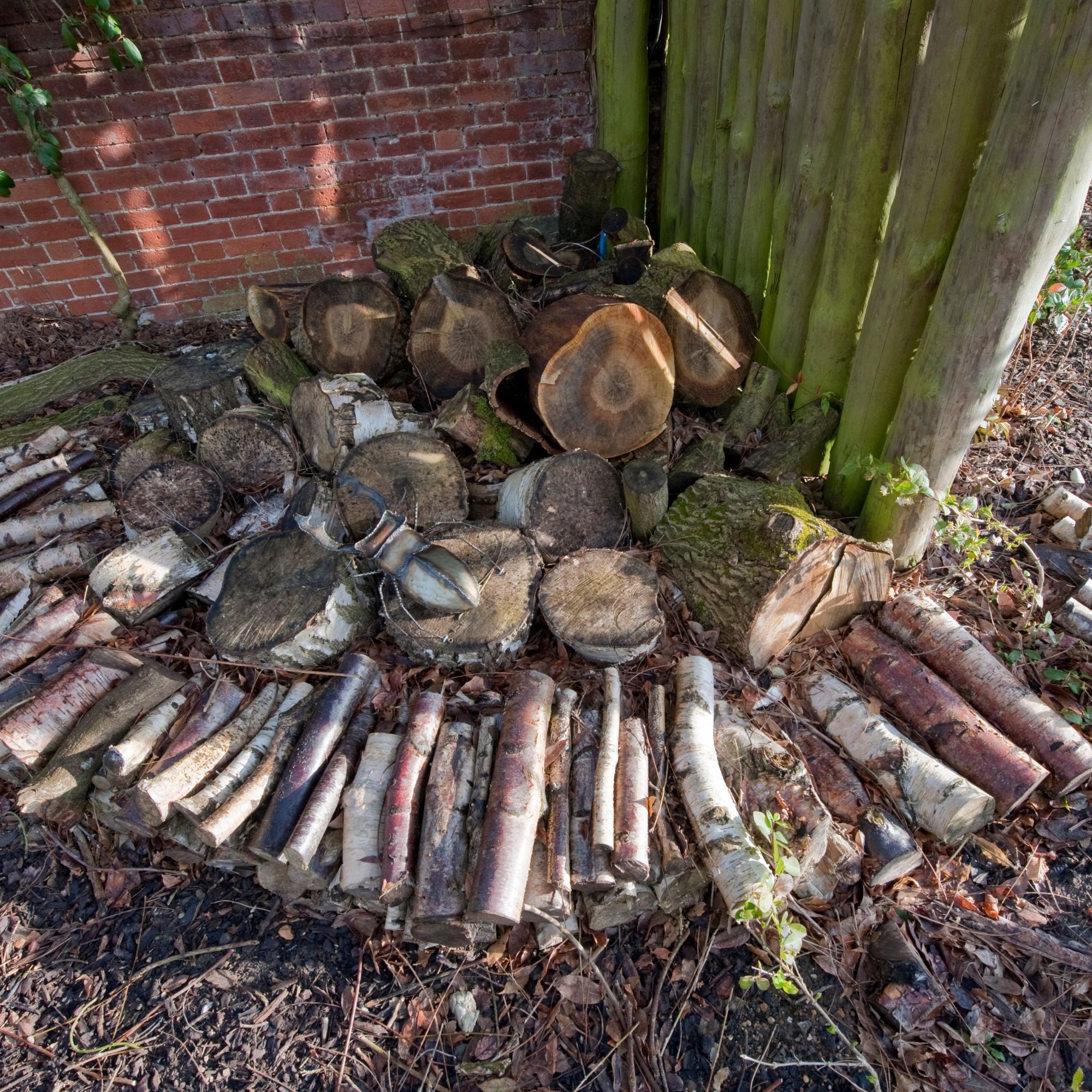 Logs for the frog house hibernaculum in garden