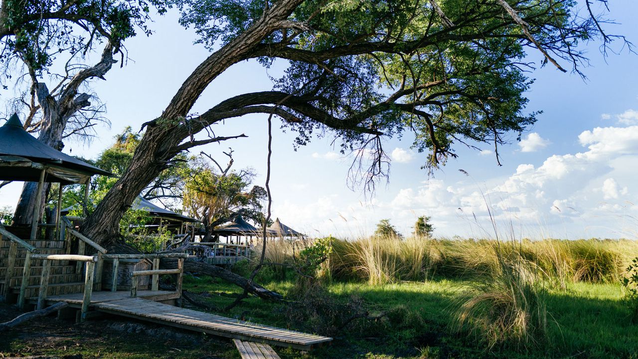 Okavango Delta Little Vumbura