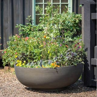 large Orinoco planter from Crescent Garden in backyard