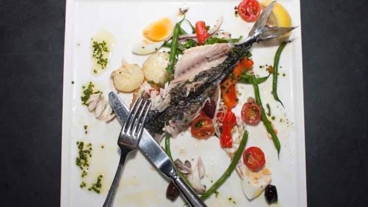 Grilled mackerel, nicoise salad, lemon 