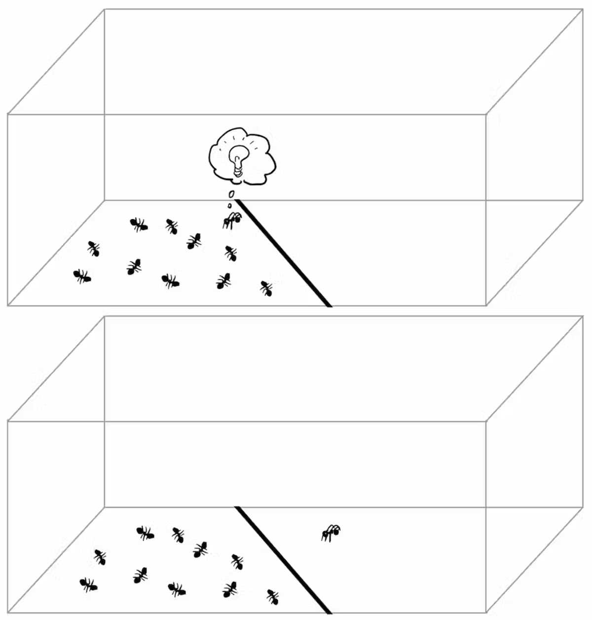 Two sketches, the top shows ants on the flat surface which is now a box with a black ant with a light bulb above its head in a thought bubble. The lower sketch shows the ant crossing the black boundary line on the flat surface