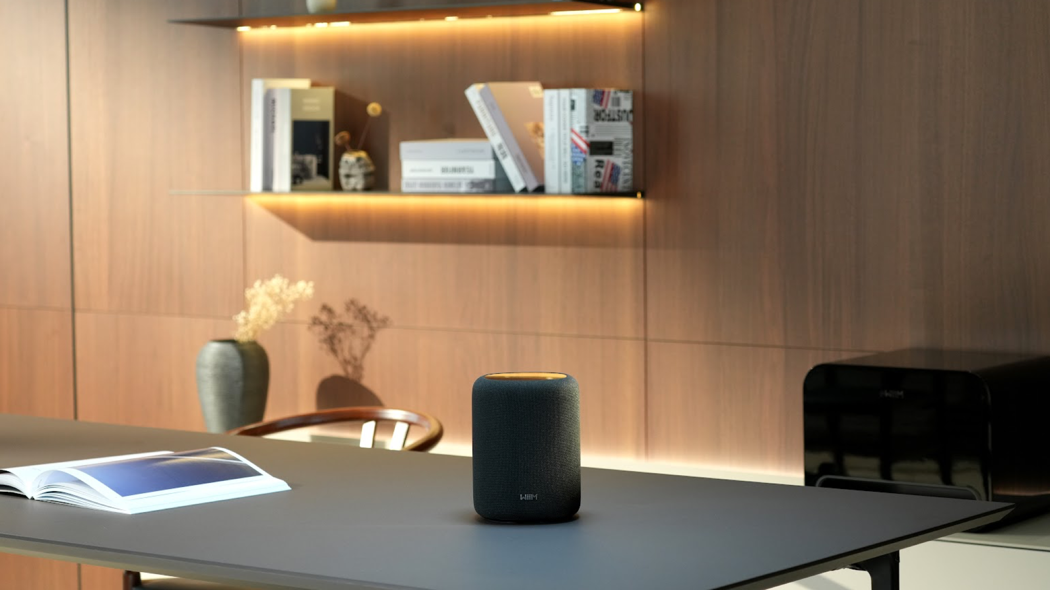 Lifestyle image of the WiiM Sound Lite in black