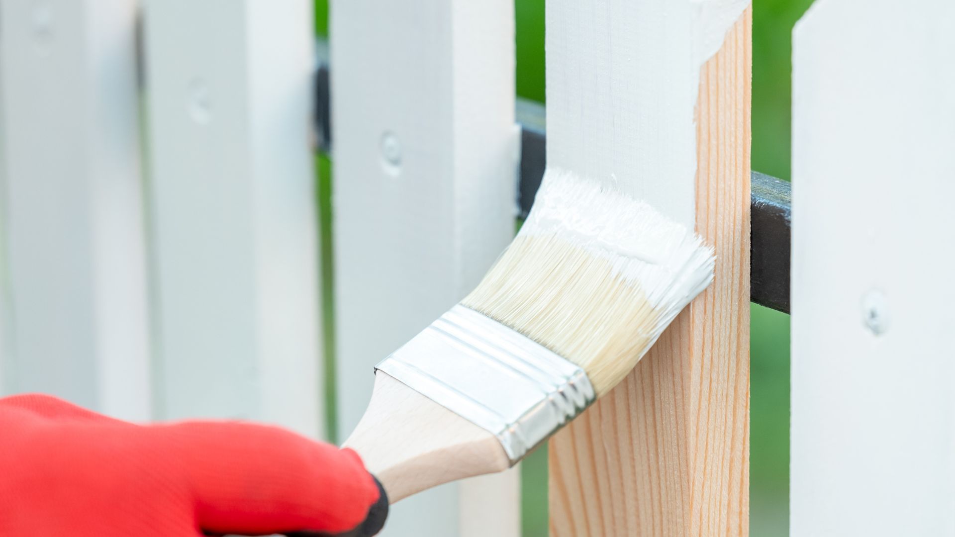 picture of person painting wooden garden fence with white paint and paintbrush