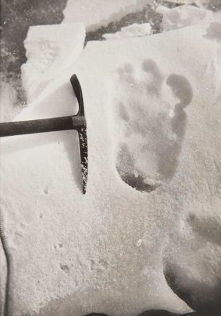 Ice axe next to print in snow.