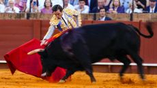The bullfighter Juan Ortega in action in Seville