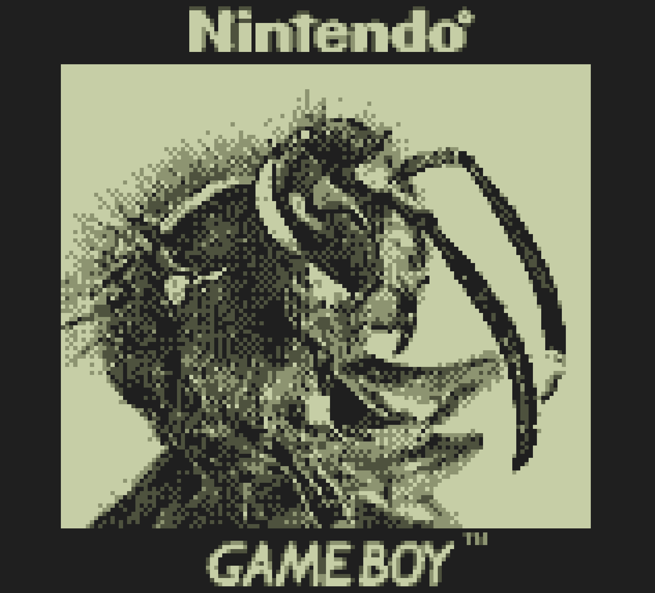 This Game Boy Camera can shoot photos of the moon