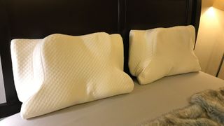 Two Zamat Butterfly Shaped Cervical Memory Foam Pillows resting against a headboard