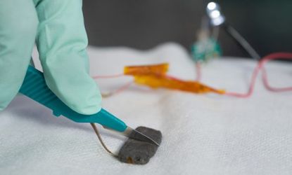 A researcher slices into a small piece of the newly developed self-healing material, which can supposedly repair itself within 30 minutes.