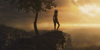 Mowgli at sunrise