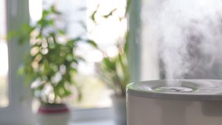 humidifier with steam coming out