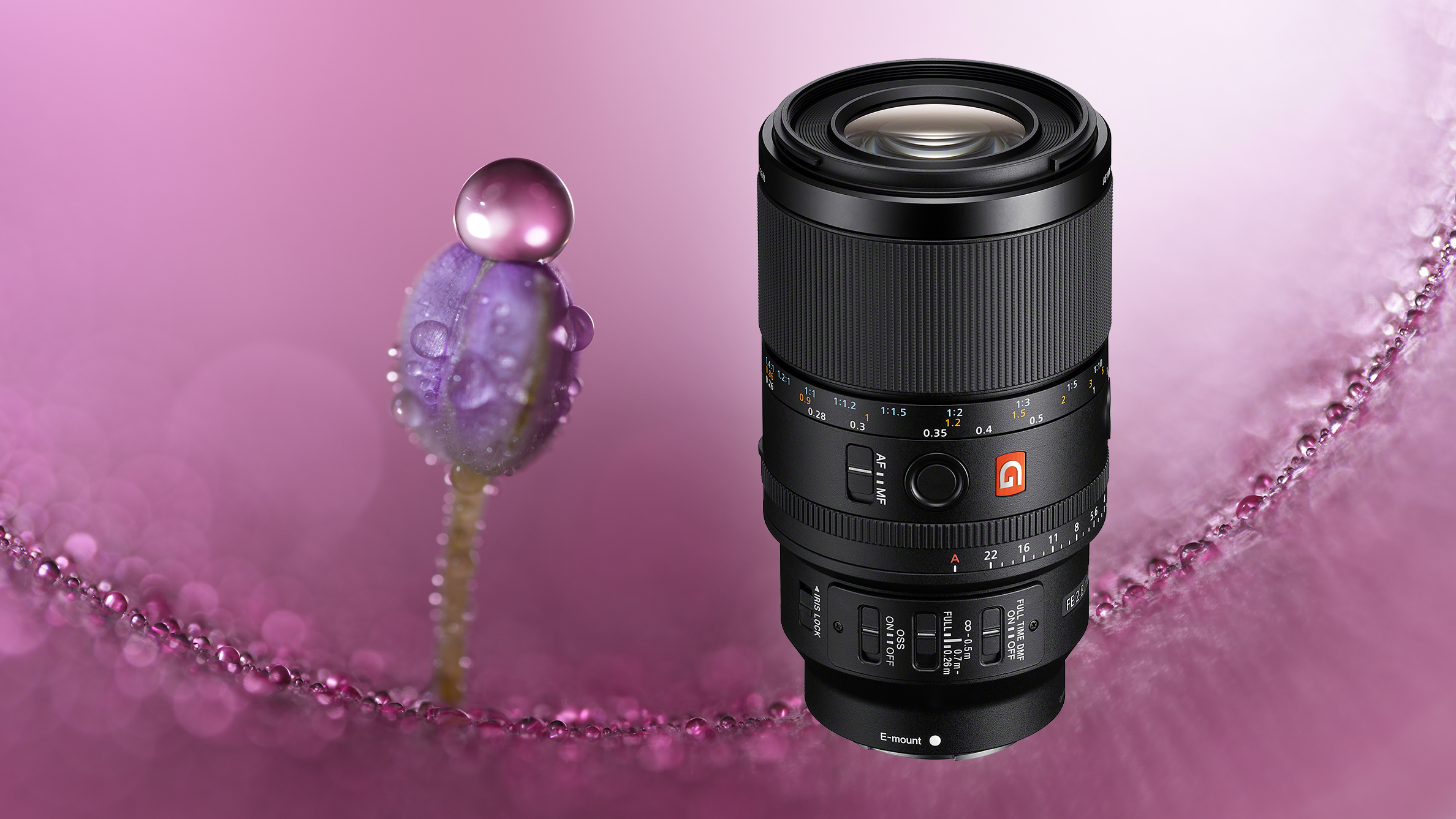 Sony FE 100mm f/2.8 Macro GM OSS superimposed on a press sample image of a flower covered in water droplets