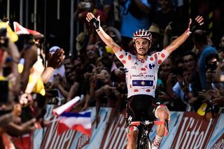 Julian Alaphilippe wins stage 16 at the Tour de France