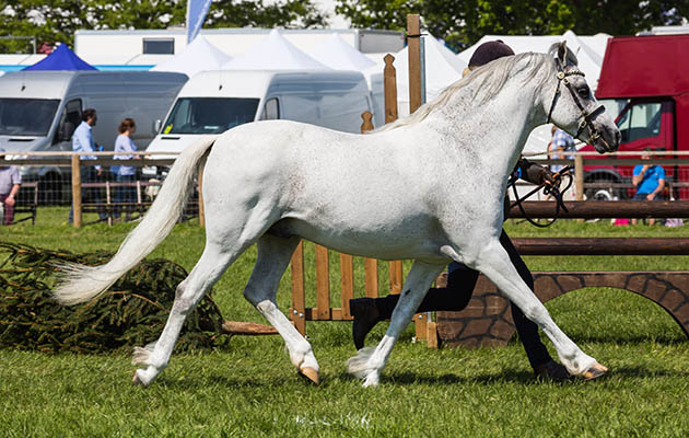Devon County Show 2018