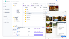 The Egnyte file sharing portal