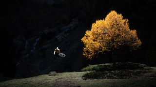 Mountain bike rider Arthur Deblonde in the air beside a lit up tree