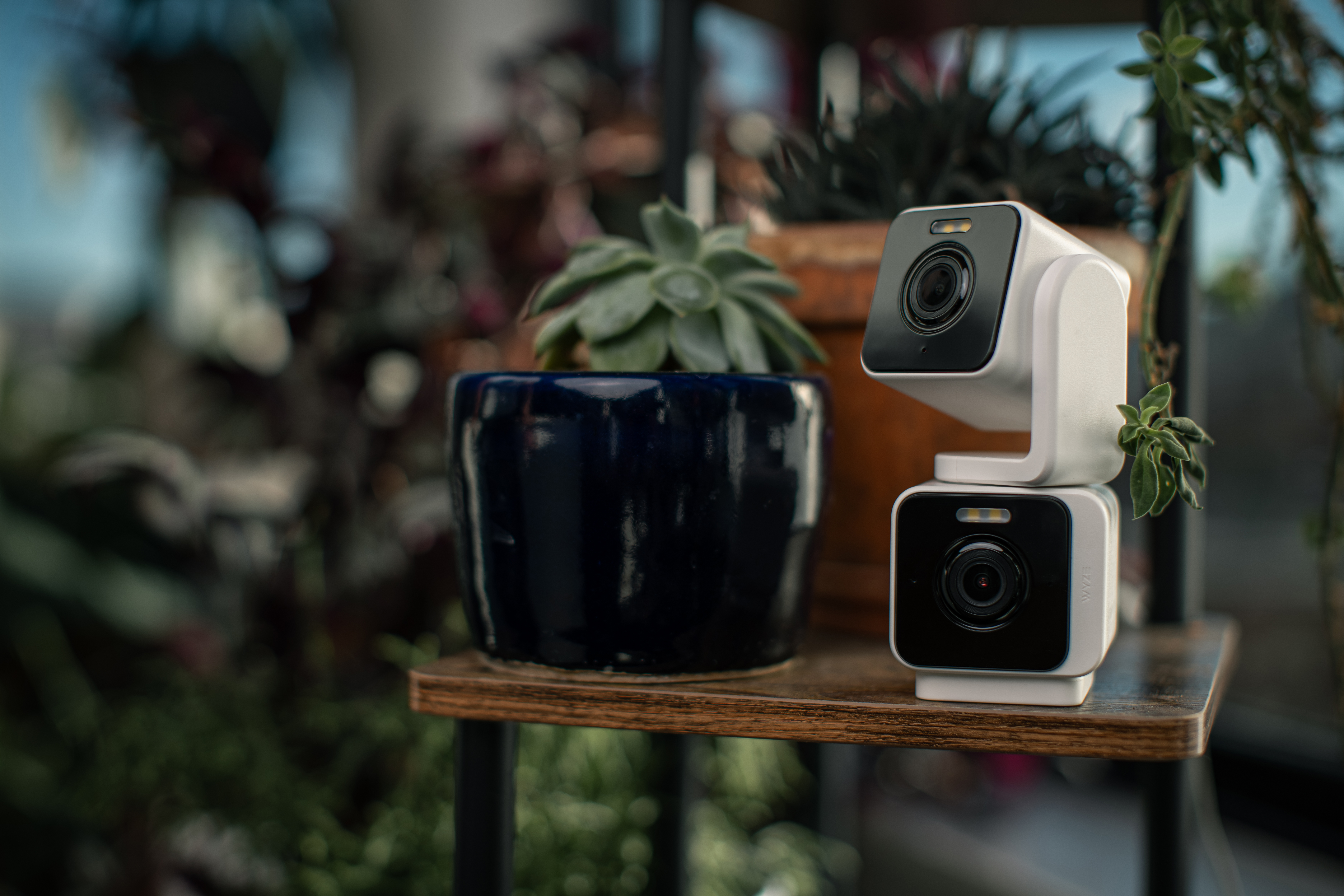 Wyze Duo Cam Pan on a table next to a potted plant