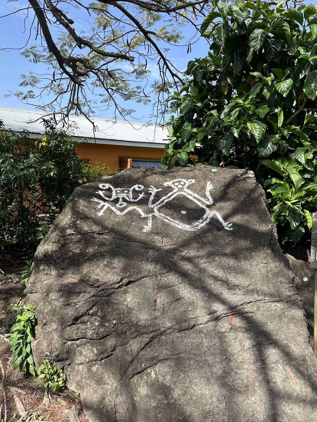 Indigenous Carib carvings