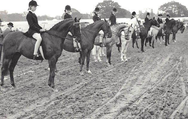 Show ponies at The Royal Show