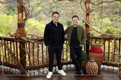 Ant McPartlin and Declan Donnelly presenting I'm A Celebrity... South Africa