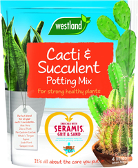 Westland Cacti/Succulent Potting Compost Mix on Amazon