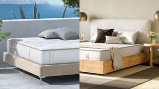 The image shows the Saatva Zenhaven on the left hand and the Nolah Natural 11" on the right in a side by side mattress comparison