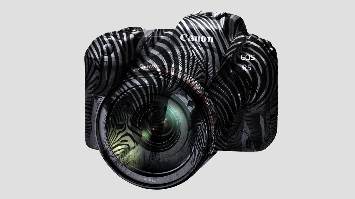 Canon EOS R5 has zebras, can turn 8K into uber-4K | Digital Camera World