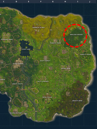 Search for Loot In Wailing Woods