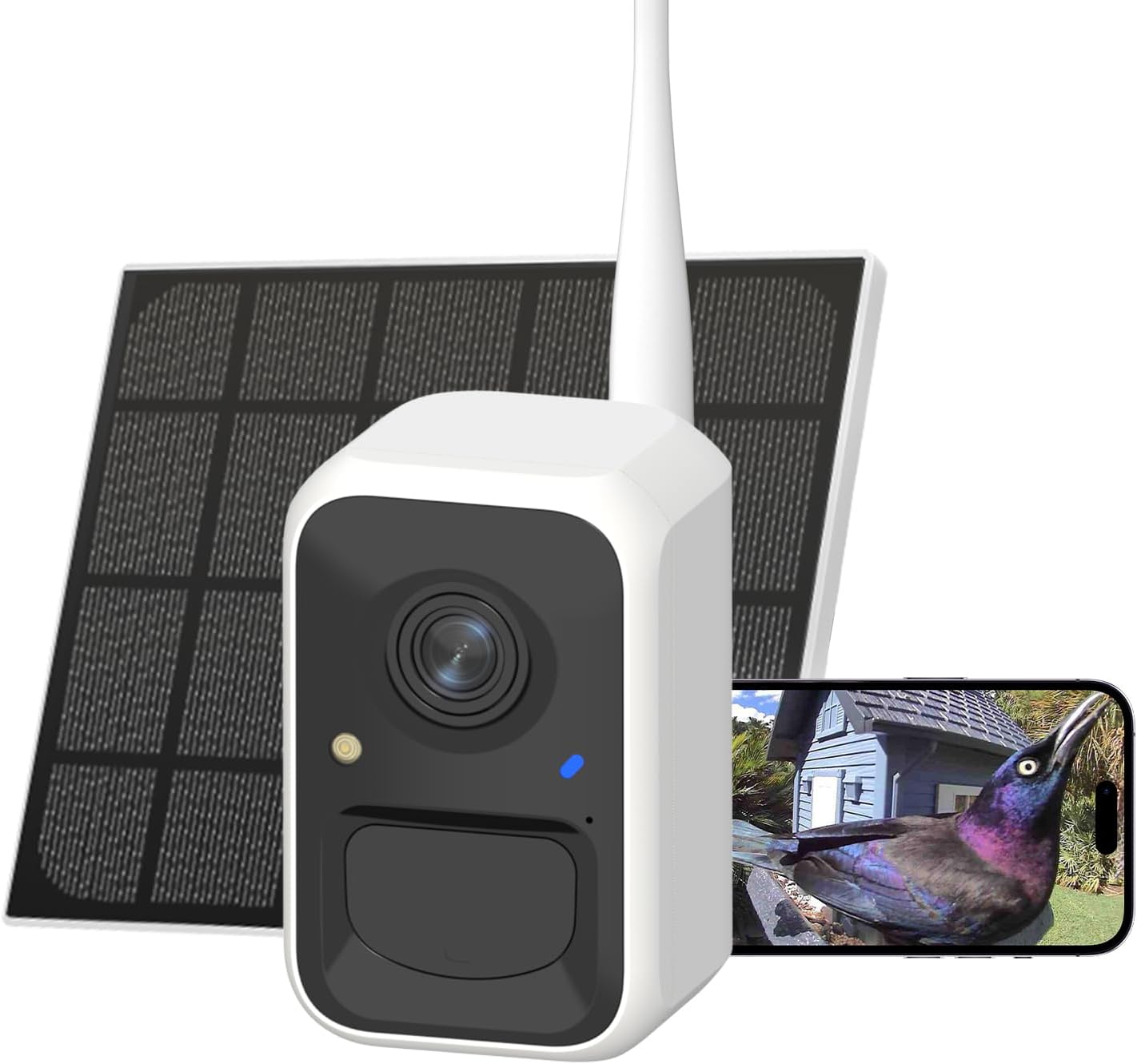 Birdfy Upgraded Smart Bird Feeder Camera, Solar Powered, Auto Bird Video Capture, Instant Notifications, Ai Identify 6000+ Species