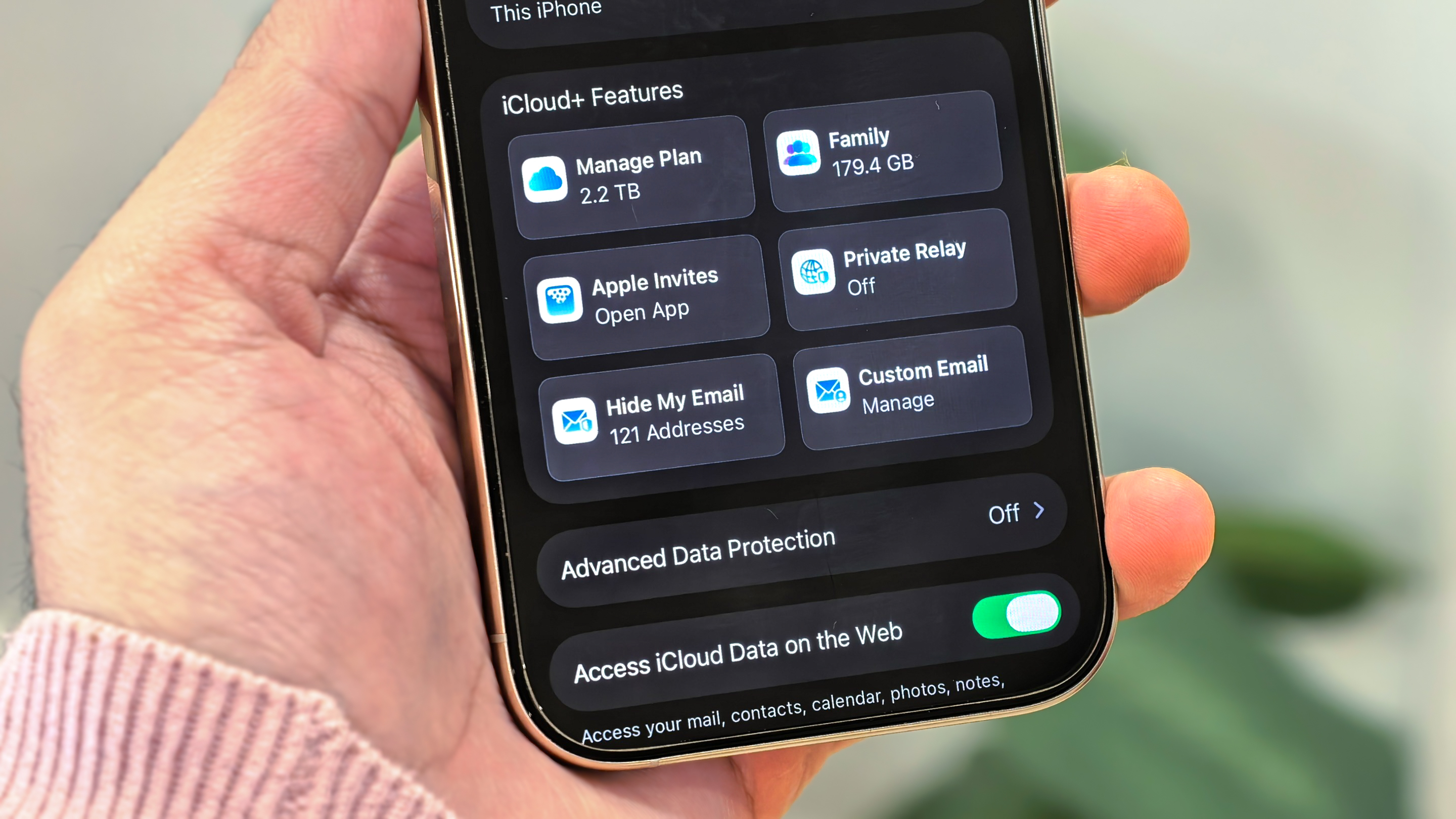 Hide my Email in iCloud page on iPhone