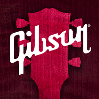 Gibson: Learn &amp; Play Guitar