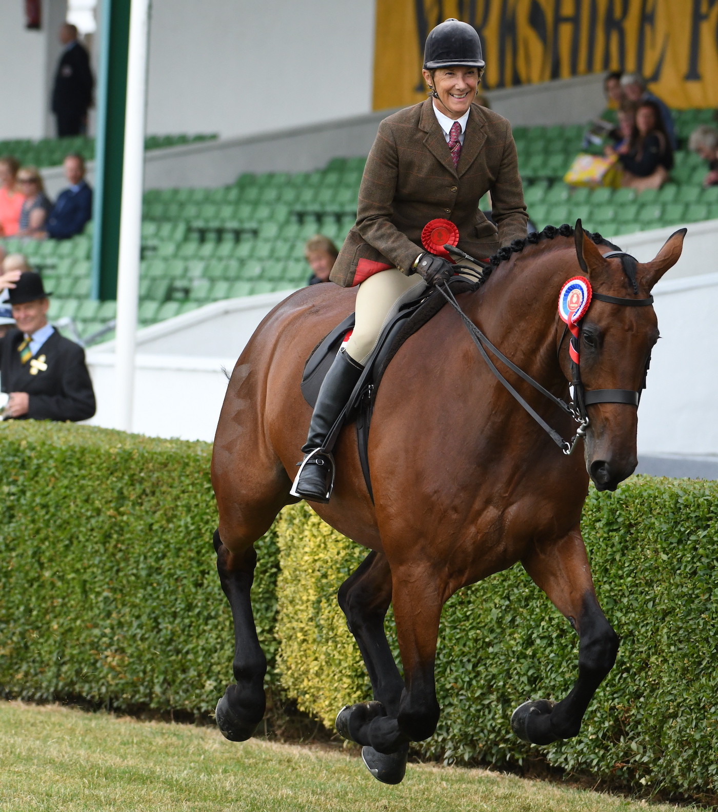 Jayne Ross on Twinshock Warrior, a well-trained show hunter