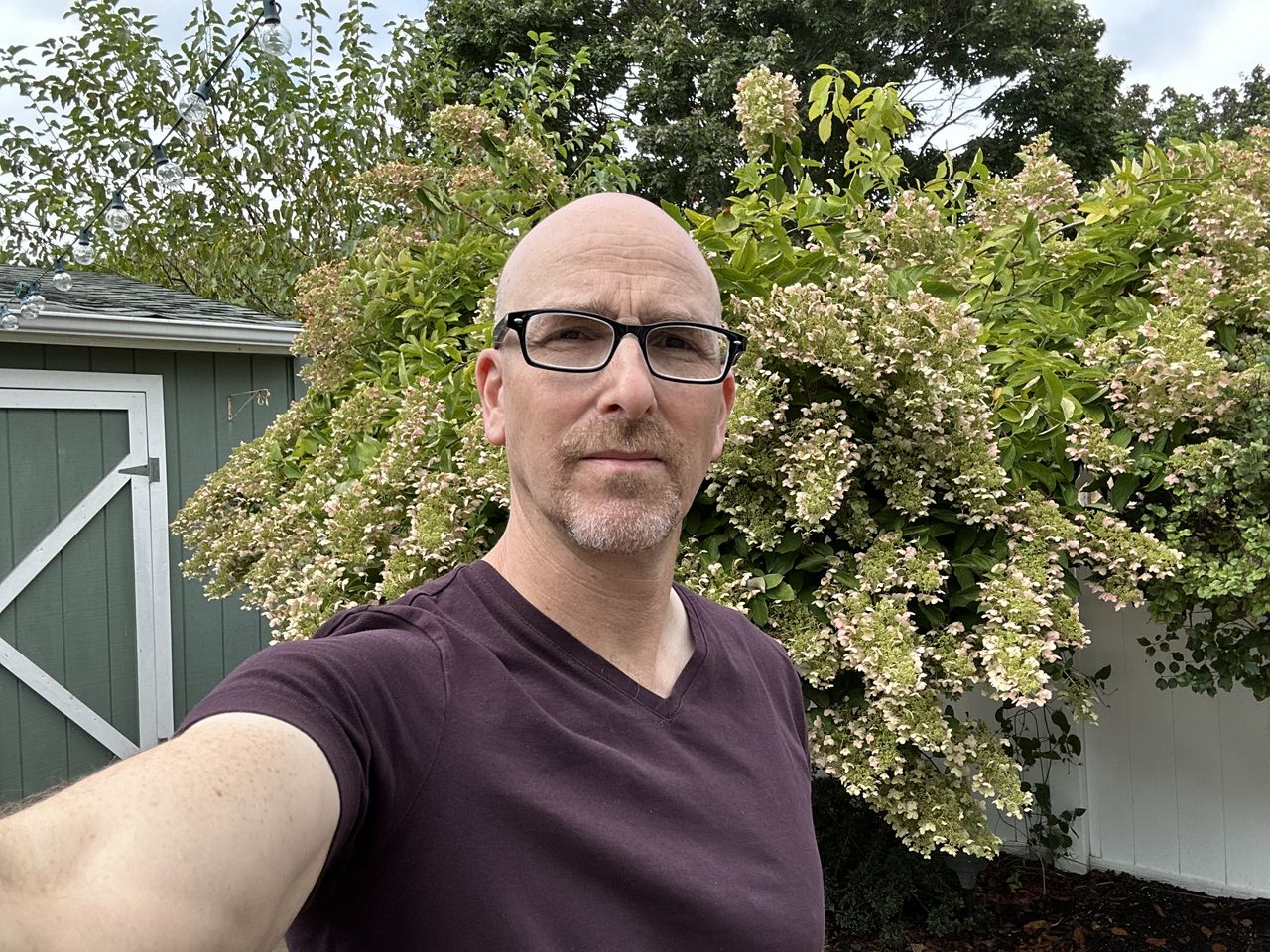 Apple iPhone 14 main camera