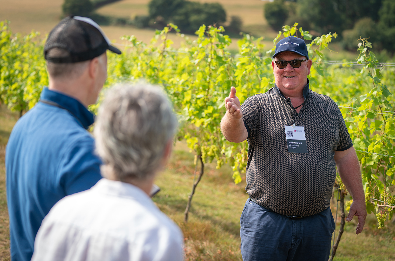 Robb Merchant of White Castle is guiding a vineyard tour. Credit: Patrick Olner