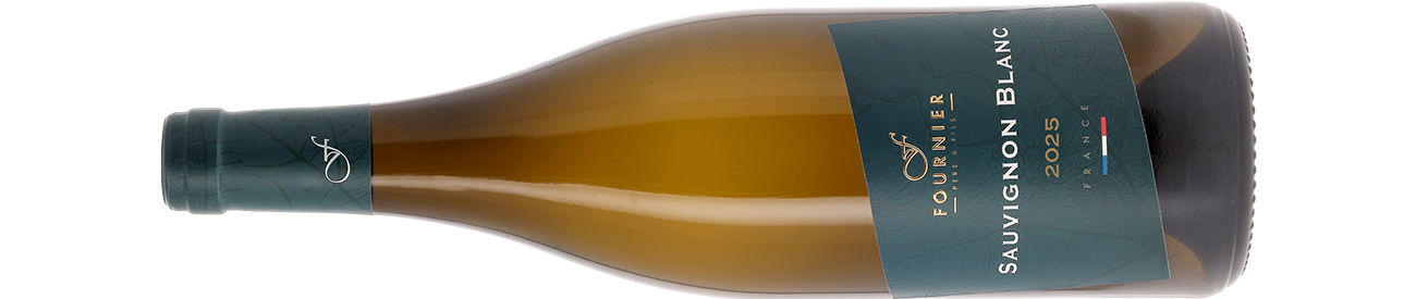 Bottle of white wine