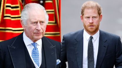 Prince Harry’s ‘compromise’ a ‘shame’ for King Charles. Seen here side-by-side at different occasions
