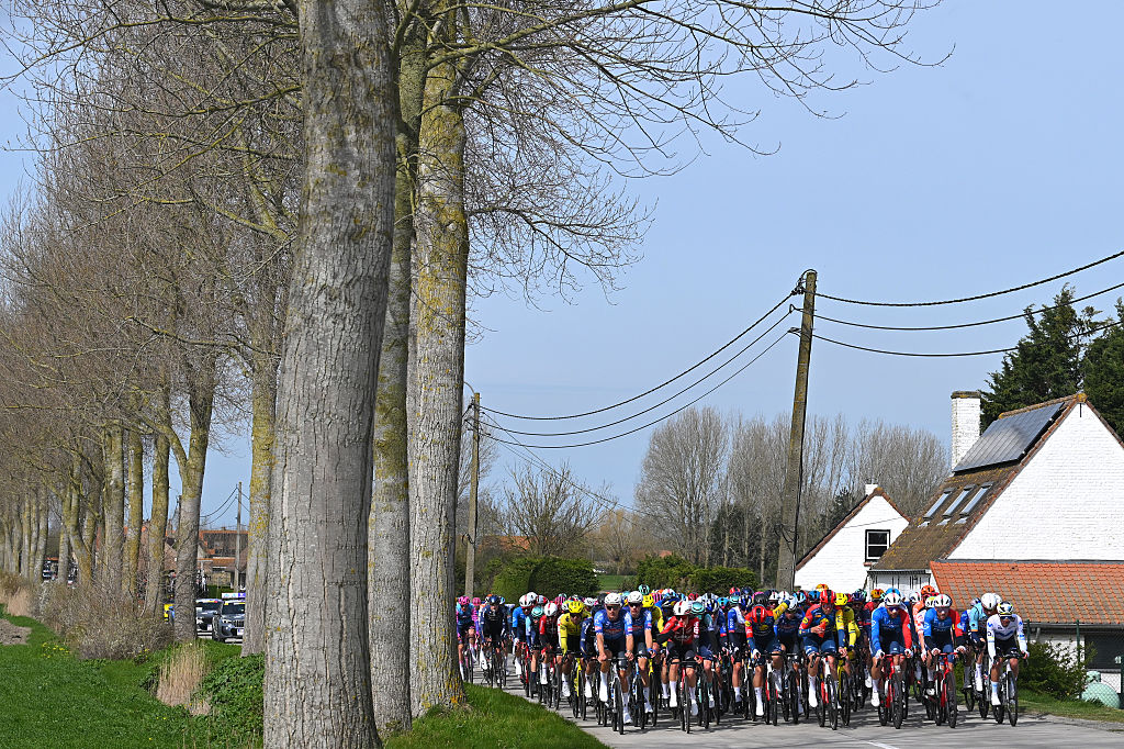 WEVELGEM, BELGIUM - MARCH 29: A general view of the peloton competing during the 88th In Flanders Fields - From Middelkerke to Wevelgem 2026 - Men&amp;amp;apos;s Elite a 240.8km one day race from Middelkerke to Wevelgem / #UCIWT / on March 29, 2026 in Wevelgem, Belgium. (Photo by Tim de Waele/Getty Images)