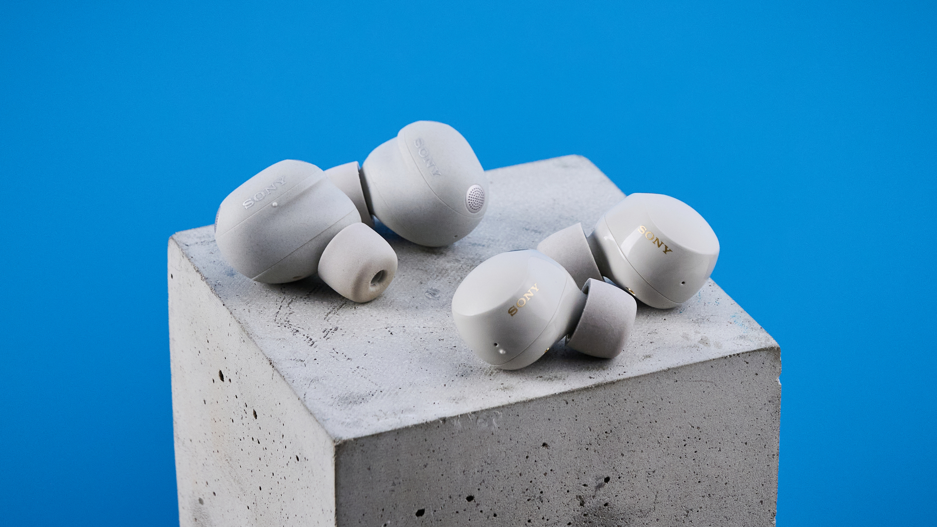 Sony WF-1000XM6 earbuds photographed in front of a blue background