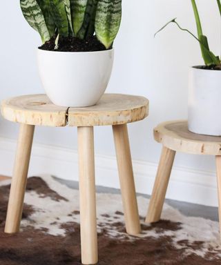 Two DIY plant stands using wood rounds and wooden dowel legs