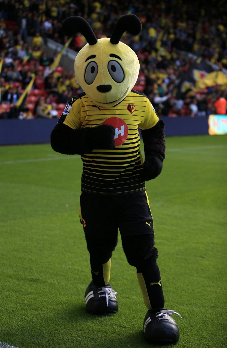 this-seasons-premier-league-mascots-ranked-10-1556679154-zcoA-column-width-inline