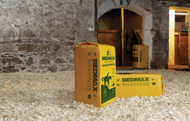 BEDMAX-1