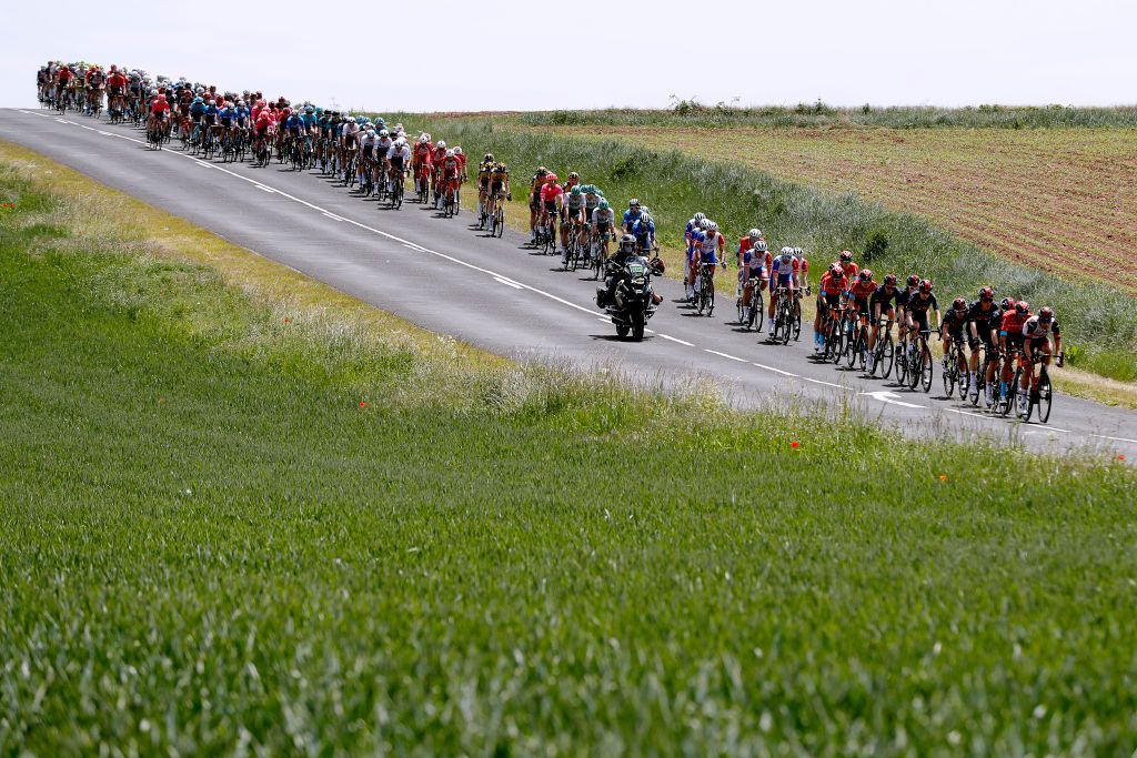 Dauphine