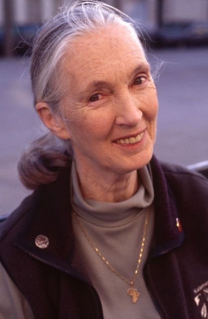 Jane Goodall (1934-Present) 