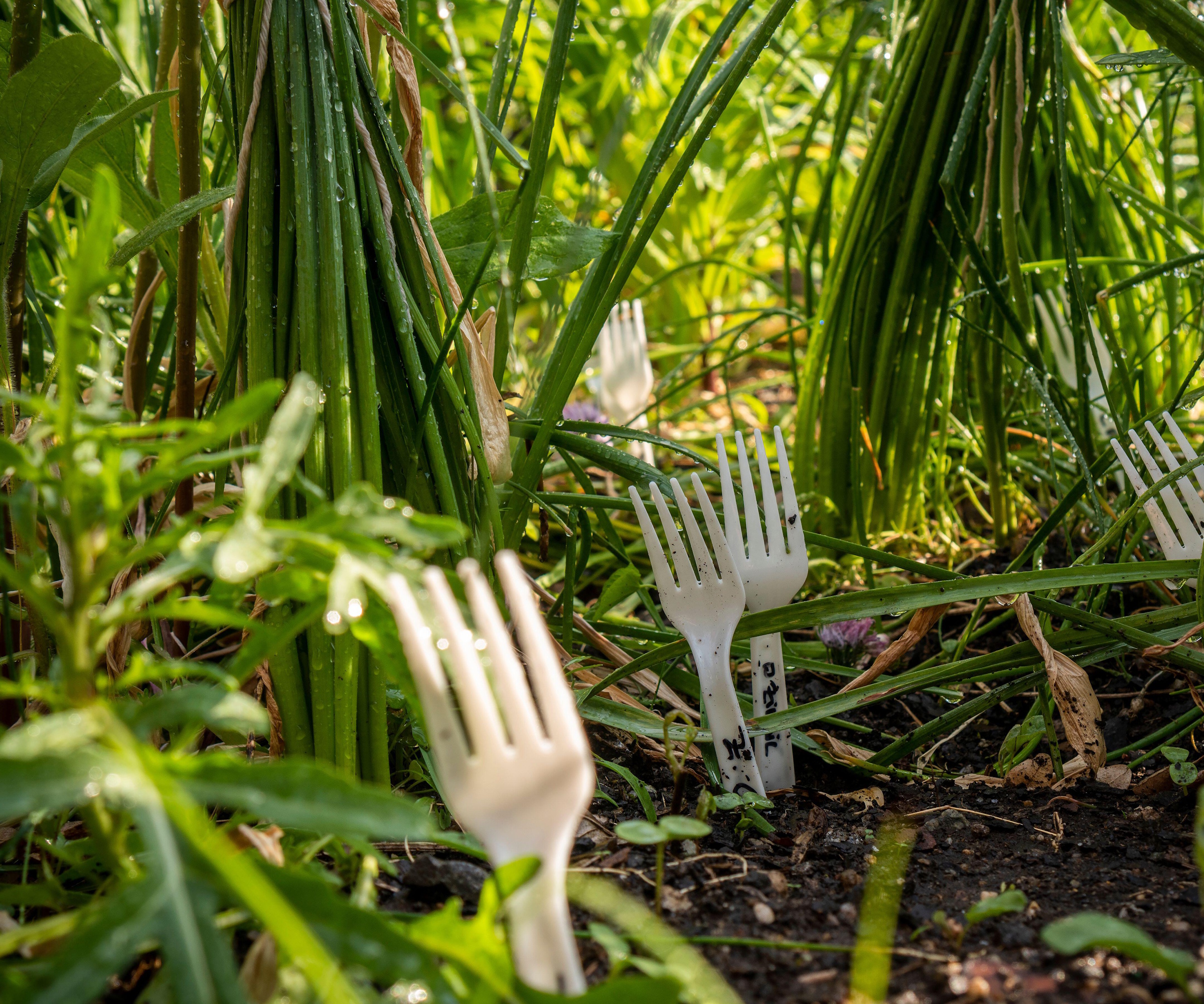 Plastic fork pest control