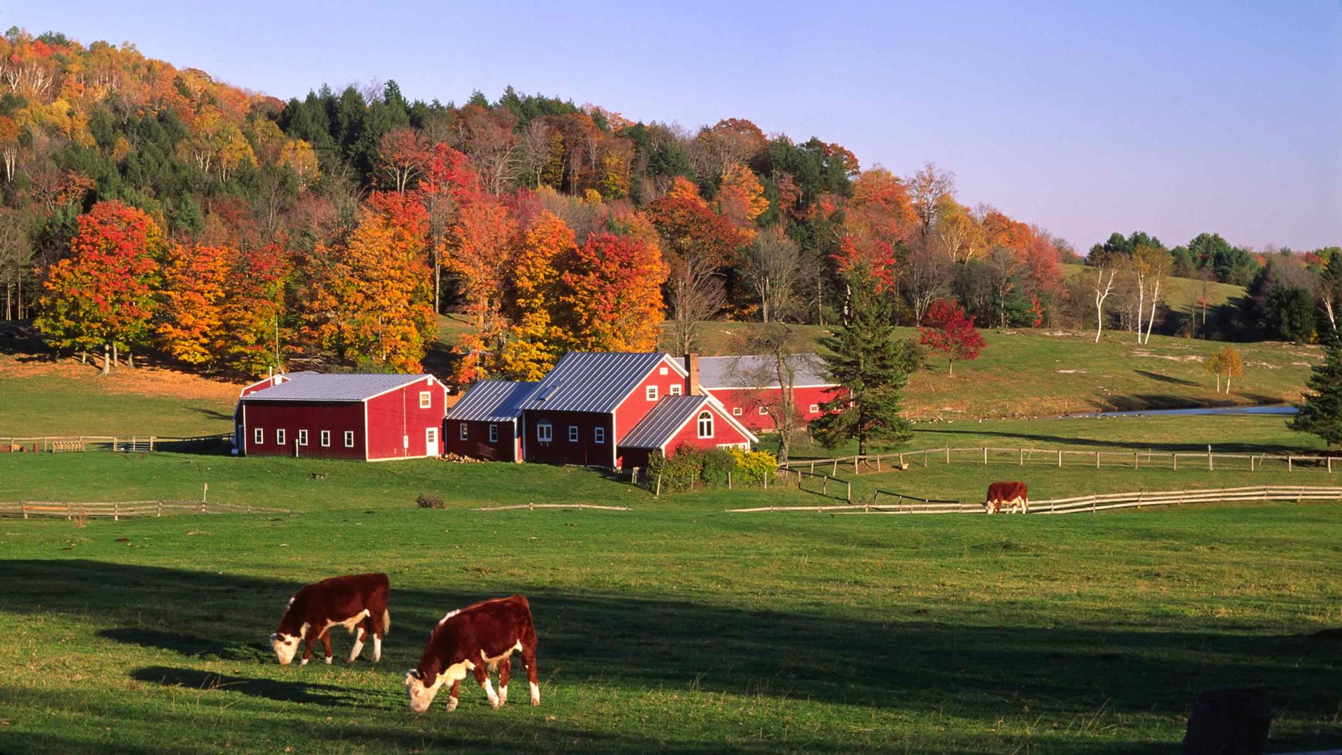 Vermont