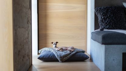 Best dog bed: Charley Chau Luxury Mattress Style Dog Bed